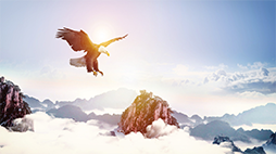 員工(gong)風(feng)採(cai)